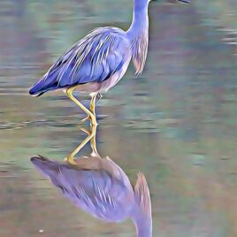 Heron Wall Art – picture only