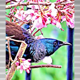 Tūī in Pink Blossoms on Silver Outdoor Wall Art