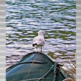 Seagull on Silver Outdoor Wall Art