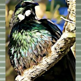 Tūī (1) on Mist Green Outdoor Wall Art