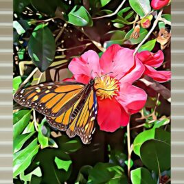 Monarch Butterfly on Stone Outdoor Wall Art