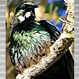 Tūī (1) on Silver Outdoor Wall Art
