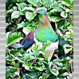 Kererū in Pūriri on Silver Outdoor Wall Art