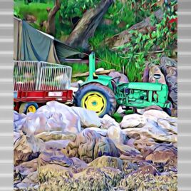 Kiwi Camping on Silver Outdoor Wall Art