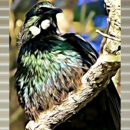 Tūī (1) on Stone Outdoor Wall Art