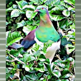 Kererū in Pūriri on Mist Green Outdoor Wall Art