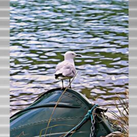 Seagull on Silver Outdoor Wall Art