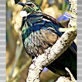 Tūī (2) on Silver Outdoor Wall Art