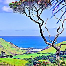 Awhitu Peninsula Wall Art – picture only