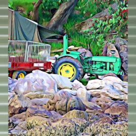 Kiwi Camping on Mist Green Outdoor Wall Art