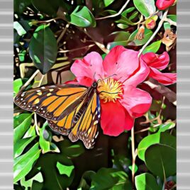 Monarch Butterfly on Silver Outdoor Wall Art