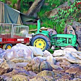 Kiwi Camping Wall Art – picture only
