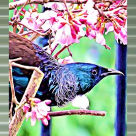 Tūī in Pink Blossoms on Mist Green Outdoor Wall Art