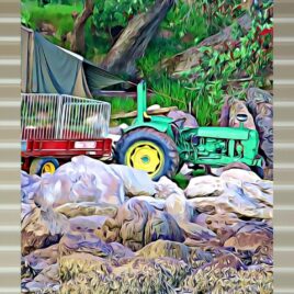 Kiwi Camping on Stone Outdoor Wall Art