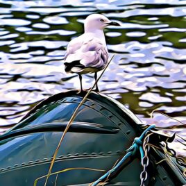 Seagull Wall Art – picture only
