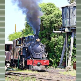 GVR Steam Train on Mist Green Outdoor Wall Art