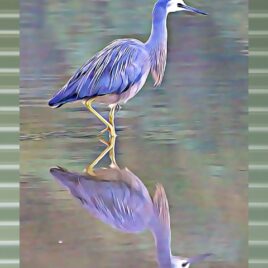 Heron on Mist Green Outdoor Wall Art