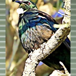 Tūī (2) on Mist Green Outdoor Wall Art