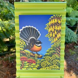 Fantail (Pīwakawaka) on Green